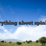 Everything about spinboss