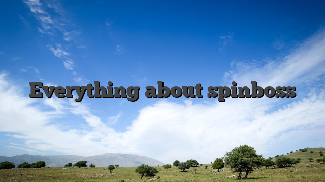 Everything about spinboss