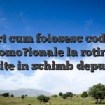 Exact cum folosesc codurile promo?ionale la rotirile gratuite in schimb depunere?
