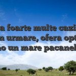 Exista foarte multe cazinouri ?i, prin urmare, ofera optiunea demo un mare pacanelelor