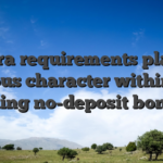 Extra requirements play a serious character within the opening no-deposit bonuses