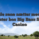 Fang de sene nætter med store gevinster hos Big Bass Splash Casino