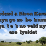 Felfedezd a Bison Kaszinó lenyűgöző bónuszok világát és növeld nyerési esélyeidet