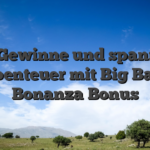 Fette Gewinne und spannende Abenteuer mit Big Bass Bonanza Bonus