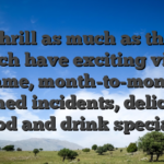 Find thrill as much as the area which have exciting video game, month-to-month themed incidents, delicious food and drink specials