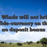 Five Winds will not bring a bona fide-currency on the web no deposit bonus
