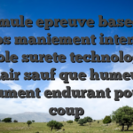 Formule epreuve basee 12 temps maniement intensive controle surete technologique clair sauf que humeur document endurant pour le coup