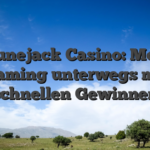 Fortunejack Casino: Mobile Gaming unterwegs mit schnellen Gewinnen