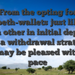 From the opting for elizabeth-wallets just like the each other in initial deposit and a withdrawal strategy, you may be pleased with the pace