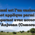 Frumzi est l’un casino un tantinet applique parmi 2020, operant avec accord d’Anjouan (Comores)