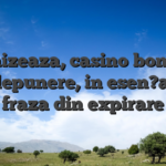 Furnizeaza, casino bonusul fara depunere, in esen?a, au o fraza din expirare