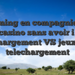 Gaming en compagnie de casino sans avoir i� telechargement VS jeux avec telechargement