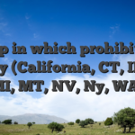 Gap in which prohibited legally (California, CT, ID, KY, MI, MT, NV, Ny, WA)