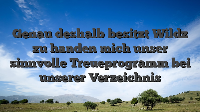 Genau deshalb besitzt Wildz zu handen mich unser sinnvolle Treueprogramm bei unserer Verzeichnis