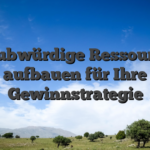 Glaubwürdige Ressourcen aufbauen für Ihre Gewinnstrategie