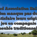 Grand Association Salle de jeu rien manque pas du tout de satisfaire leurs originaux de jeu en compagnie de meuble traditionnels