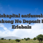 Gratiskapital entfesseln mit Bonuskong No Deposit Bonus Erlebnis