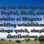 Having fun with age-purses such PayPal, Skrill, and you will Neteller at Magnus Wager Gambling establishment brings quick, simple distributions