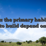 Here is the primary habit floor to build depend on