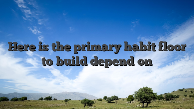 Here is the primary habit floor to build depend on