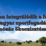 Hogyan integrálódik a fambet a magyar sportfogadás és kaszinózás ökoszisztémájába