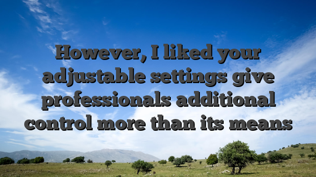 However, I liked your adjustable settings give professionals additional control more than its means