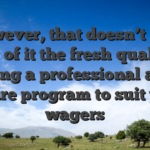However, that doesn’t pull away of it the fresh quality of being a professional and secure program to suit your wagers