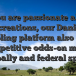 If you are passionate about recreations, our Danish gambling platform also offers competitive odds-on major globally and federal sports