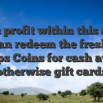 If you profit within this mode, you can redeem the fresh new Sweeps Coins for cash awards otherwise gift cards