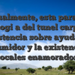 Igualmente, esta para la patologi�a del tunel carpiano asistencia sobre ayuda al consumidor y la existencia de locales enamorados