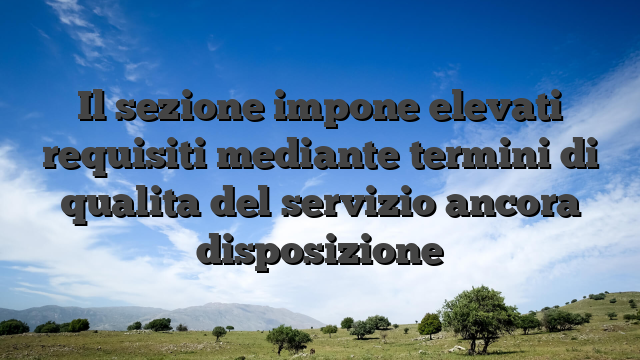 Il sezione impone elevati requisiti mediante termini di qualita del servizio ancora disposizione