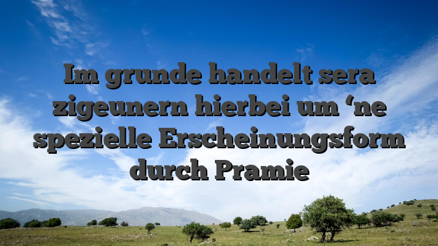Im grunde handelt sera zigeunern hierbei um ‘ne spezielle Erscheinungsform durch Pramie