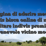 Immagina di aderire mediante indivis bisca online di nuovo ospitare indivis premio di convenevole vicino modello