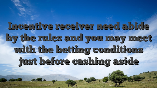 Incentive receiver need abide by the rules and you may meet with the betting conditions just before cashing aside