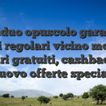 Individuo opuscolo garantisce premi regolari vicino modello di giri gratuiti, cashback di nuovo offerte speciali