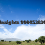 Insights 998453836