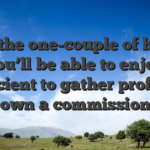 Into the one-couple of hours you’ll be able to enjoy sufficient to gather profits to own a commission