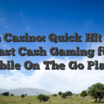 Irwin Casino: Quick‑Hit Slots und Fast‑Cash Gaming für den Mobile‑On‑The‑Go‑Player