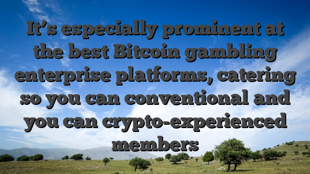 It’s especially prominent at the best Bitcoin gambling enterprise platforms, catering so you can conventional and you can crypto-experienced members
