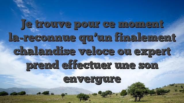 Je trouve pour ce moment la-reconnue qu’un finalement chalandise veloce ou expert prend effectuer une son envergure
