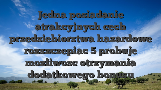 Jedna posiadanie atrakcyjnych cech przedsiebiorstwa hazardowe rozszczepiac 5 probuje mozliwosc otrzymania dodatkowego bonusu