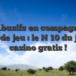 Jeu Abusifs en compagnie de Salle de jeu : le N�10 du jeu de casino gratis !