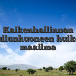 Kaikenhallinnan hullunhuoneen huikea maailma