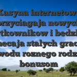 Kasyna internetowe przyciagaja nowych uzytkownikow i bedziesz zachecaja stalych graczy z powodu roznego rodzaju bonusom