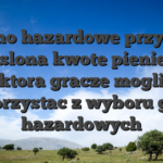 Kasyno hazardowe przyznaja okreslona kwote pieniedzy, ktora gracze mogli wykorzystac z wyboru grach hazardowych