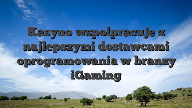 Kasyno wspolpracuje z najlepszymi dostawcami oprogramowania w branzy iGaming