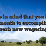 Keep in mind that you have got 1 month to accomplish the fresh new wagering