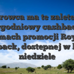 Kierowca ma te zalete, ze cotygodniowy cashback w ramach promocji Royal Cashback, dostepnej w kazda niedziele