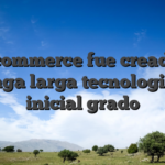 La e-commerce fue creada con manga larga tecnologia de inicial grado