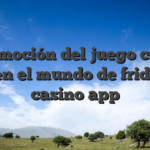 La emoción del juego cobra vida en el mundo de fridayroll casino app